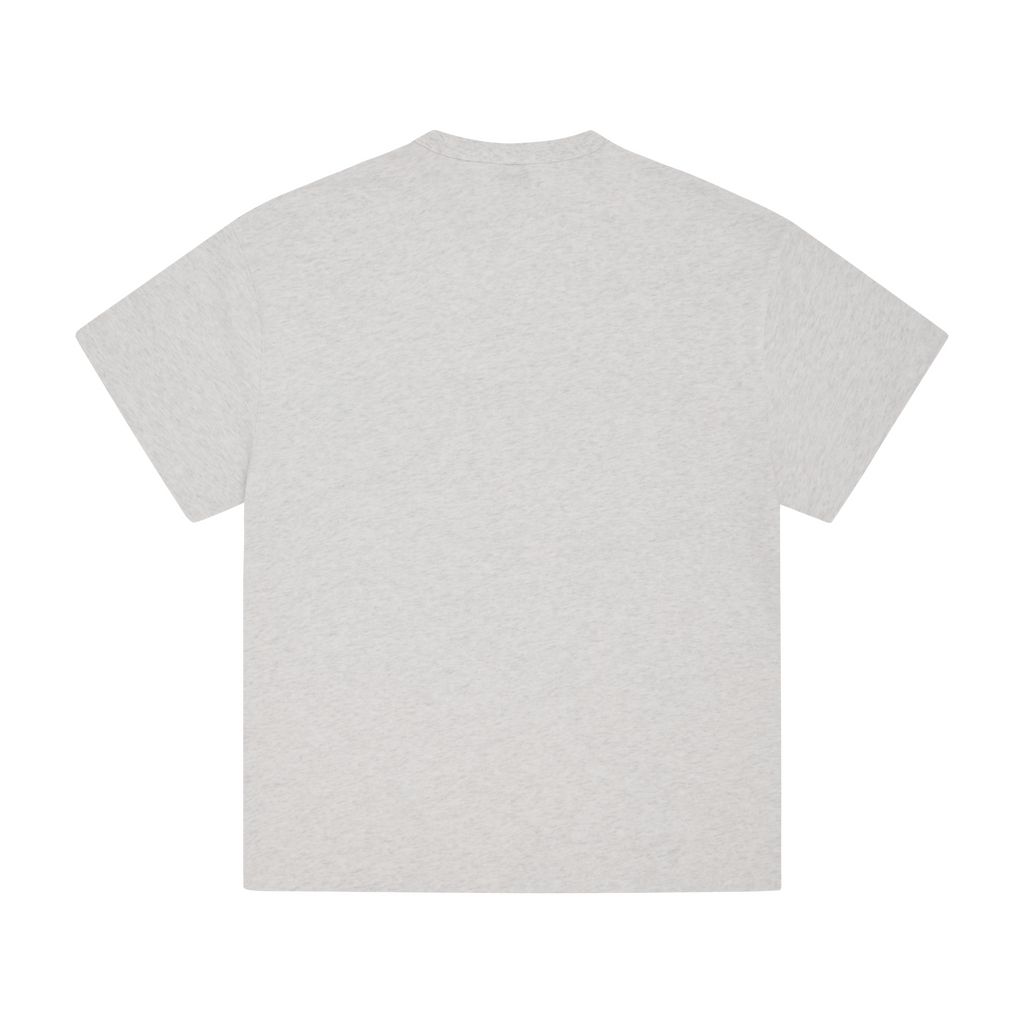 LION BOXY HEAVYWEIGHT TEE [LIGHT HEATHER]