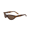 SPORTEIZ SUNGLASSES [TORTOISE]